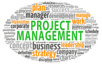 Phd dissertation in project management